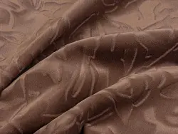 Focus (koriza)